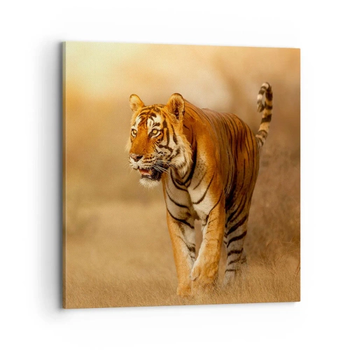 Impression sur toile - Image sur toile - Avant l'attaque - 70x70 cm