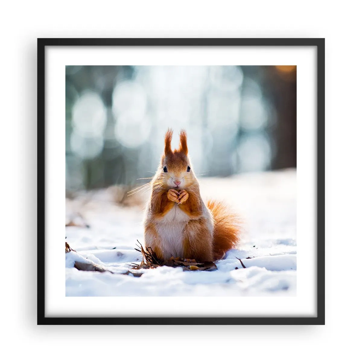 Affiche dans un cadre noir - Poster - Qu'est ce que tu regardes comme ça? - 50x50 cm