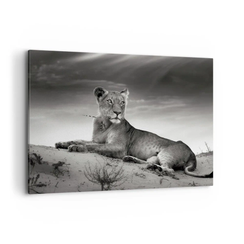 Impression sur toile - Image sur toile - Portrait noir et blanc d'une lionne dans la savane - 100x70cm - La reine du désert reste - Décoration murale moderne pour le salon et la chambre ARTTOR