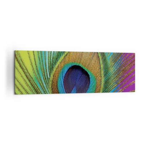 Impression sur toile - Image sur toile - Gros plan d'une plume de paon aux couleurs vives - 160x50cm - Les yeux dans les yeux - Décoration murale moderne pour le salon et la chambre ARTTOR