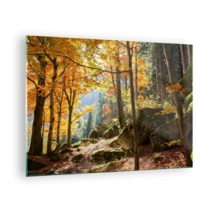 Impression sur verre - Image sur verre - Forêt d'automne avec rayons de soleil et pierres - 70x50cm - Il est temps de se détendre - Décoration murale moderne pour le salon et la chambre ARTTOR