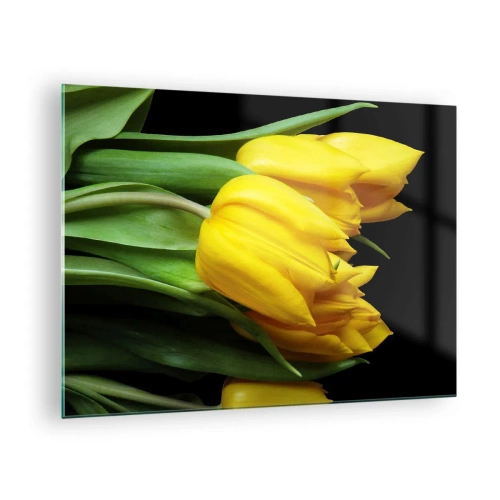 Impression sur verre - Image sur verre - Tulipes jaunes sur fond noir dans une photo élégante - 70x50cm - Lever de soleil pur - Décoration murale moderne pour le salon et la chambre ARTTOR