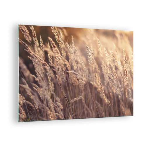 Impression sur verre - Image sur verre - Herbes dorées illuminées par les rayons du soleil couchant - 70x50cm - Prêt à accueillir l'automne - Décoration murale moderne pour le salon et la chambre ARTTOR