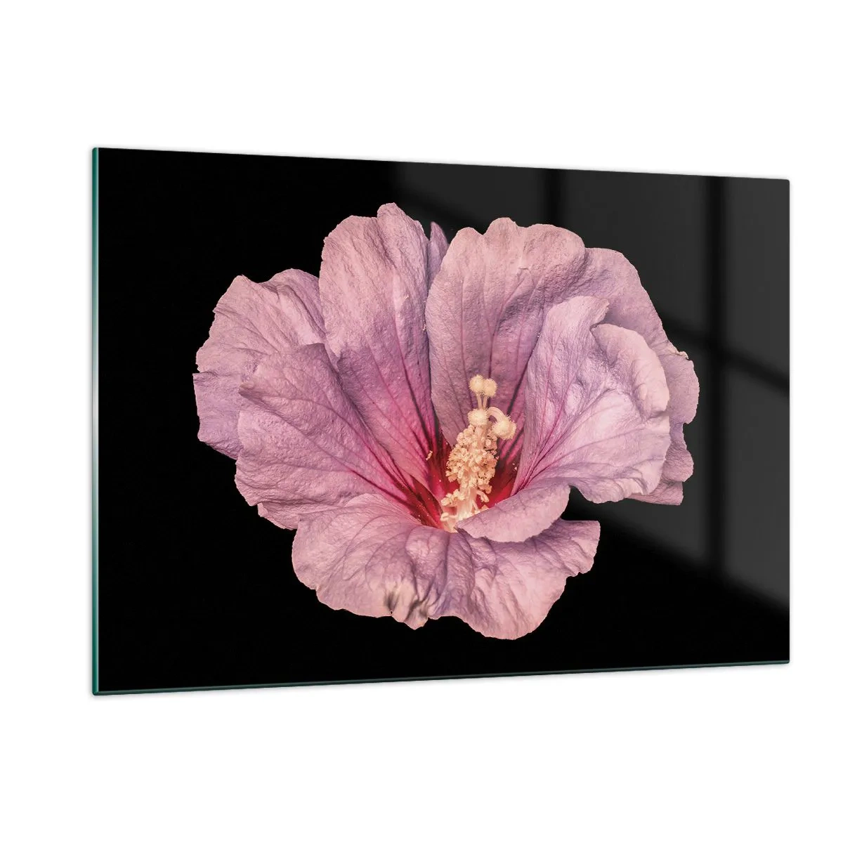 Impression sur verre - Image sur verre - Gros plan d'une fleur d'hibiscus rose sur fond noir - 120x80cm - Directement au coeur - Décoration murale moderne pour le salon et la chambre ARTTOR