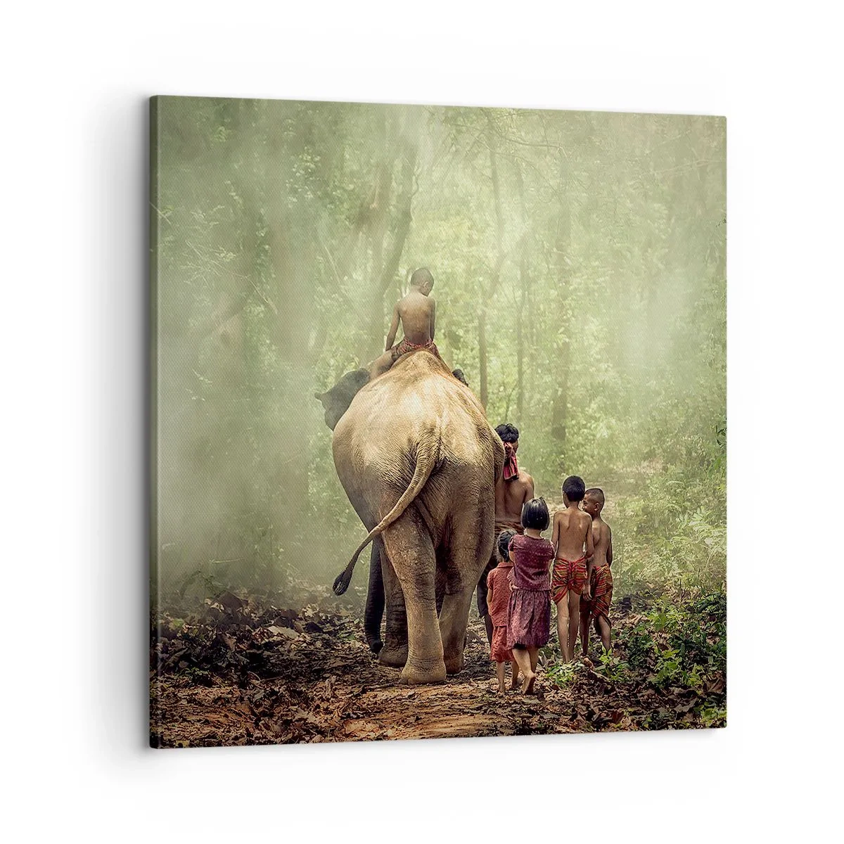 Impression sur toile - Image sur toile - Nouveau livre de la jungle - 60x60 cm