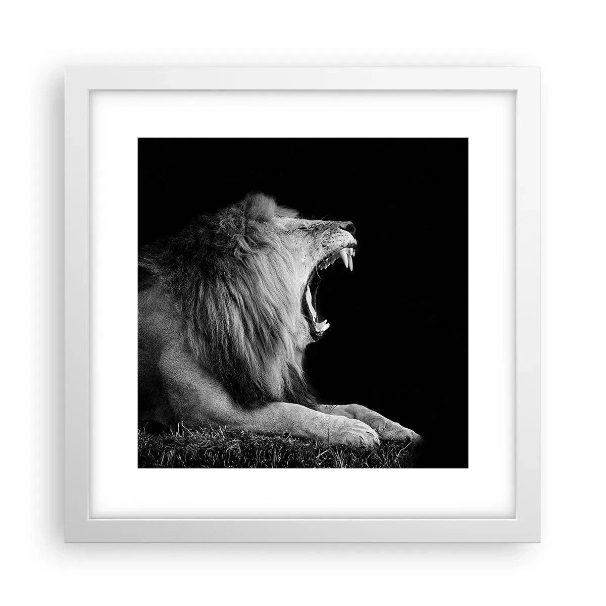 Affiche dans un cadre blanc - Poster - Sans aucun doute - 30x30 cm