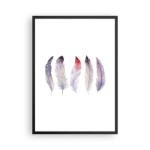 Affiche dans un cadre noir - Poster - Plumes colorées sur fond blanc dans un style délicat - 50x70cm - Délicat comme un brouillard multicolore - Décoration murale moderne pour le salon et la chambre ARTTOR