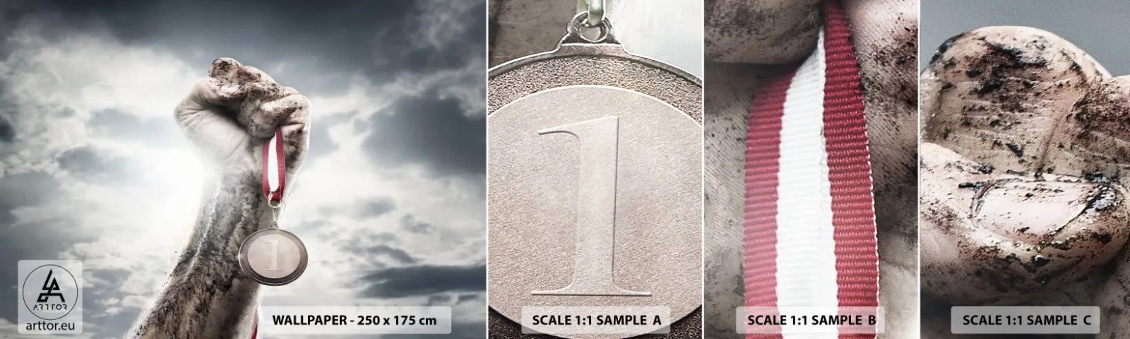 Échantillon De Papier Peint Standard Eco - Per aspera ad astra - sport, Médaille sportive, 3D - 100x30 cm