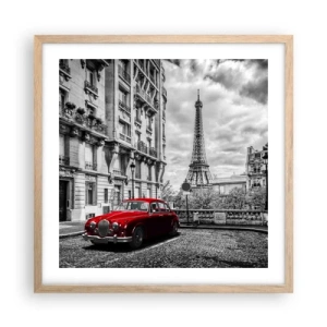 Affiche dans un chêne clair - Poster - Prédateur dans la ville - 50x50 cm