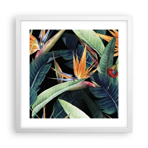 Affiche dans un cadre blanc - Poster - Fleurs flamboyantes des tropiques - 40x40 cm