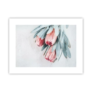 Affiche - Poster - Honte de leur propre beauté - 40x30 cm