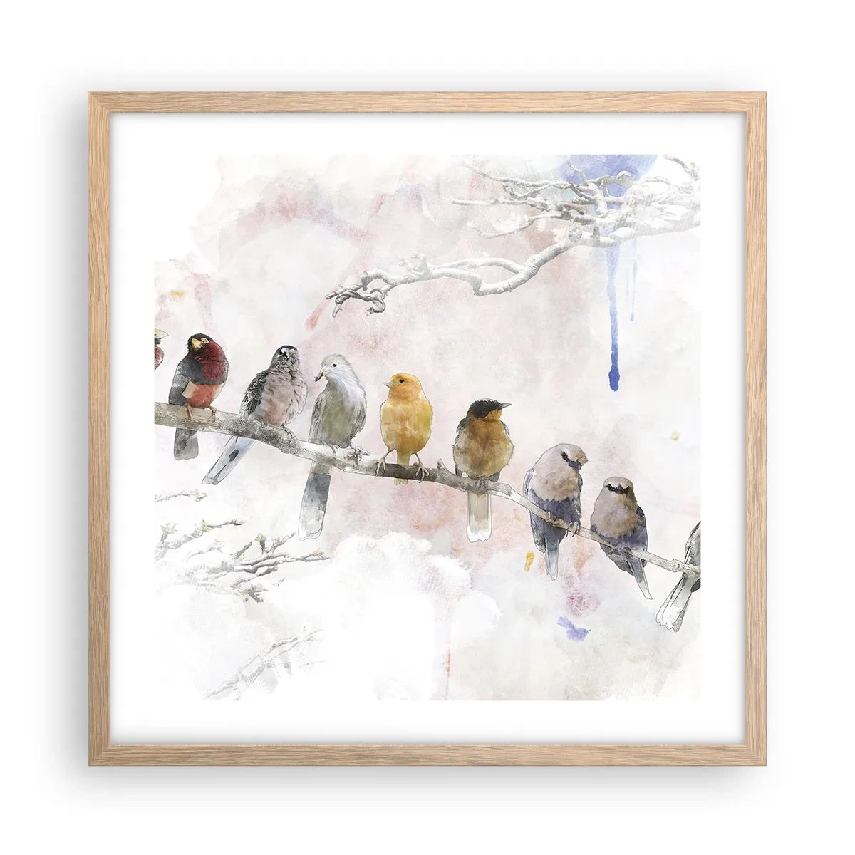 Affiche dans un chêne clair - Poster - Rencontre ailée - 50x50 cm