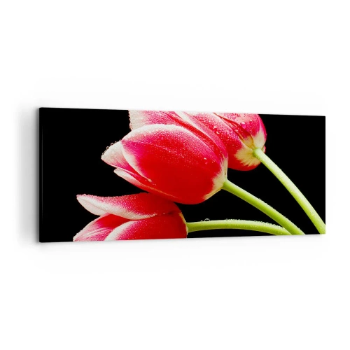 Impression sur toile - Image sur toile - Tulipes rouges avec des gouttes de rosée sur fond noir - 120x50cm - Une promesse d'amour pur - Décoration murale moderne pour le salon et la chambre ARTTOR