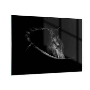 Impression sur verre - Image sur verre - Profil d'un cheval noir dans l'ombre avec un œil visible - 70x50cm - Prince Noir - Décoration murale moderne pour le salon et la chambre ARTTOR