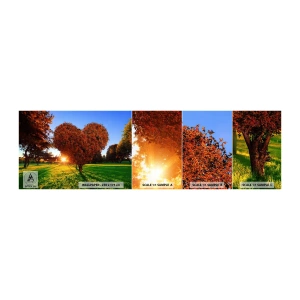 Échantillon De Papier Peint Standard Eco - Et comment ne pas aimer tomber - Paysage, Arbre, Rayons du soleil - 100x30 cm