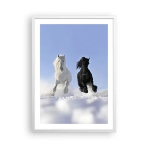 Affiche dans un cadre blanc - Poster - Galop noir et blanc - 50x70 cm