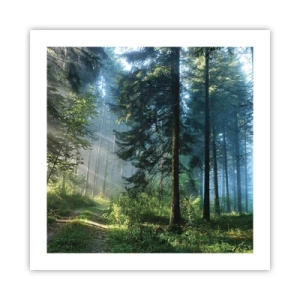 Affiche - Poster - Rayonnant le matin - 50x50 cm