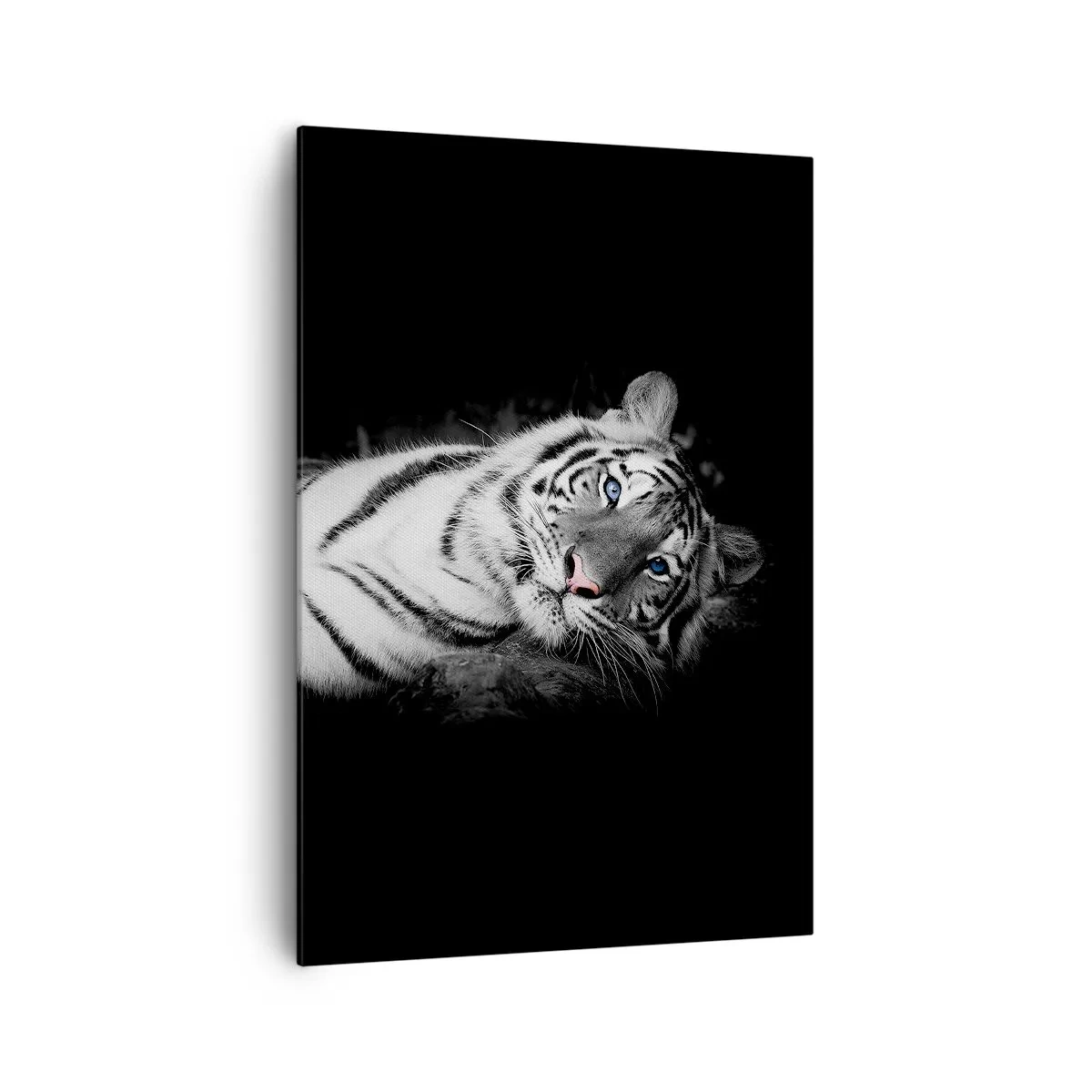 Impression sur toile - Image sur toile - Un tigre blanc rendu artistiquement sur un fond noir - 70x100cm - Sauvagerie et paix - Décoration murale moderne pour le salon et la chambre ARTTOR