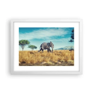 Affiche dans un cadre blanc - Poster - Le gris n'est déjà plus à la mode - 40x30 cm