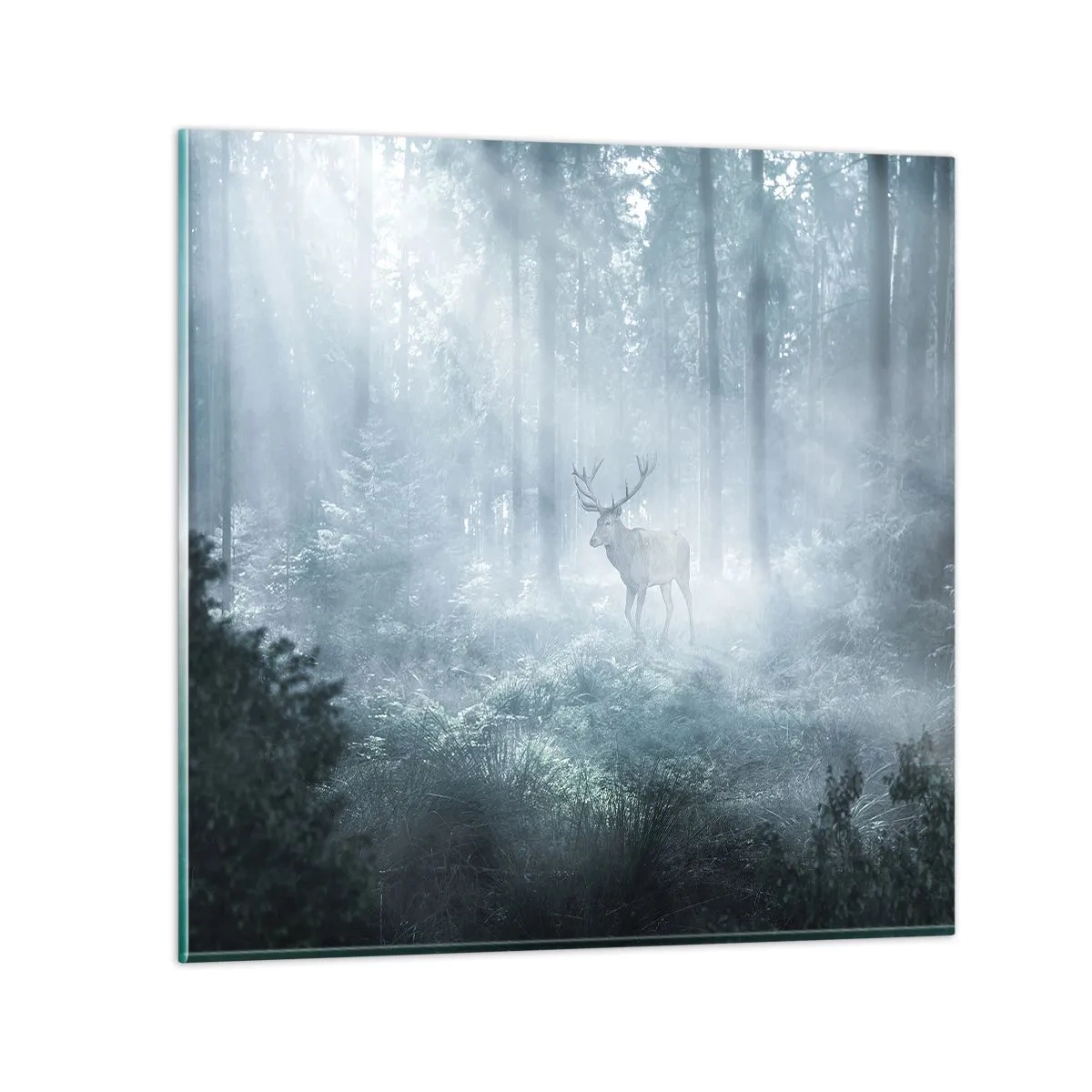 Impression sur verre - Image sur verre - Visite matinale du domaine - 60x60 cm