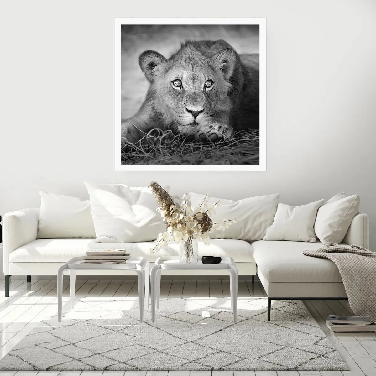 Affiche - Poster - Chiot royal - 40x40 cm