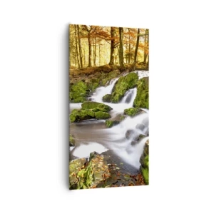 Impression sur toile - Image sur toile - Rapidement à travers la forêt d'automne - 65x120 cm