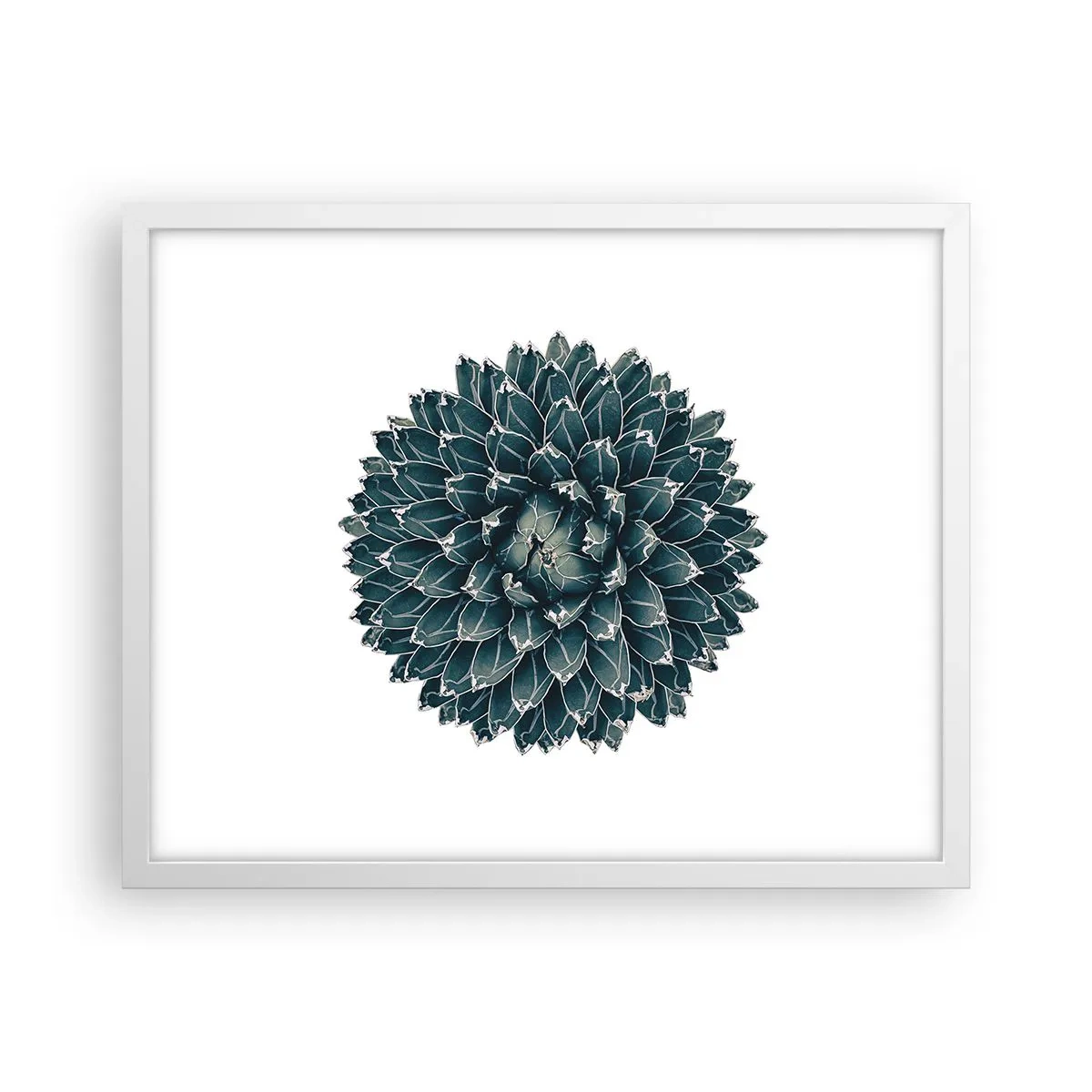 Affiche dans un cadre blanc - Poster - Étoile du désert - 50x40 cm