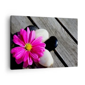 Impression sur toile - Image sur toile - Fleur rose sur un fond de planches de bois avec des pierres - 70x50cm - Repos sur la jetée - Décoration murale moderne pour le salon et la chambre ARTTOR