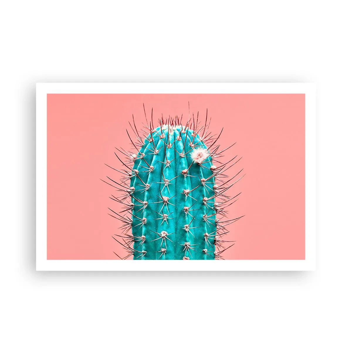 Affiche - Poster - Juste regarde - 91x61 cm