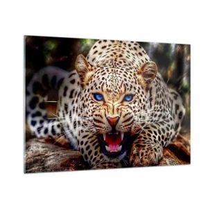 Impression sur verre - Image sur verre - Un léopard féroce aux yeux bleus dans la nature - 100x70cm - La colère de la beauté ne fait pas de mal - Décoration murale moderne pour le salon et la chambre ARTTOR