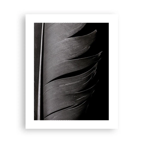 Affiche - Poster - La plume – un design magnifique - 40x50 cm
