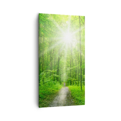 Impression sur toile - Image sur toile - Cathédrale verte - 55x100 cm