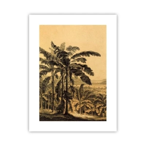 Affiche - Poster - Dans un climat colonial - 30x40 cm