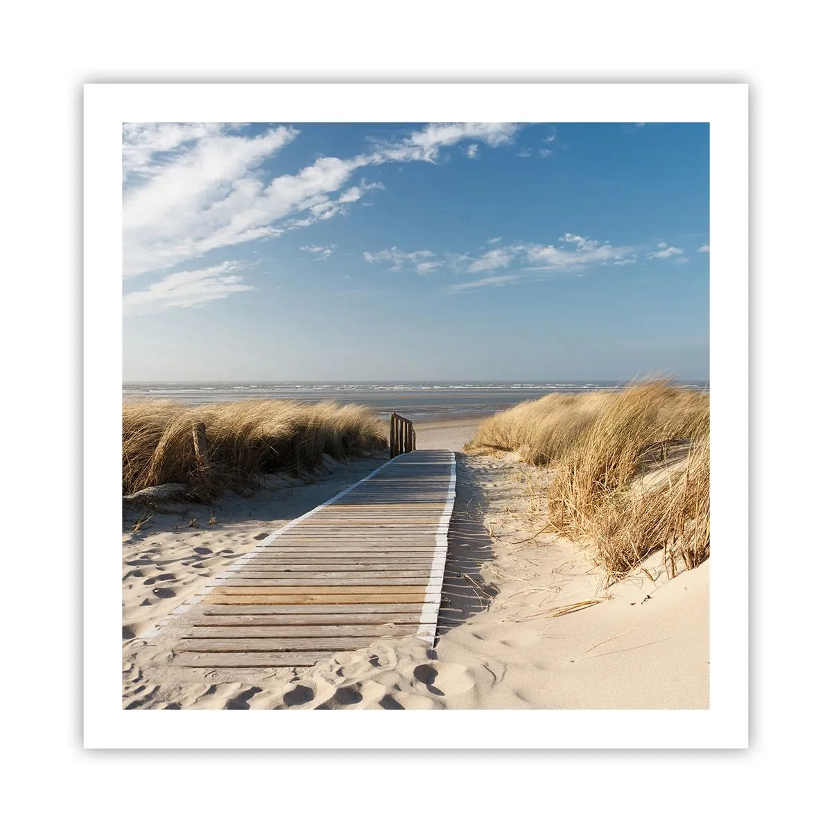 Affiche - Poster - Derrière la dune, dans le bruissement de l'herbe - 60x60 cm
