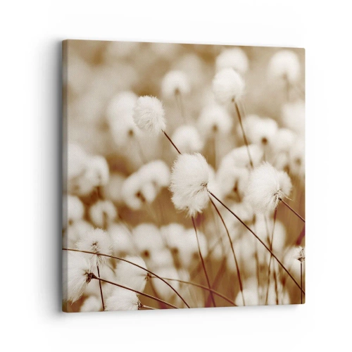 Impression sur toile - Image sur toile - Tige moelleuse - 30x30 cm
