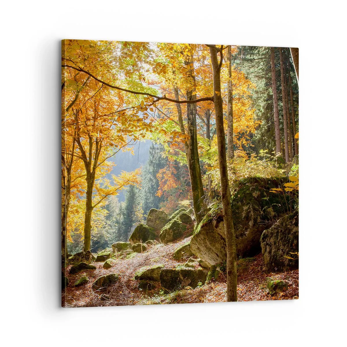 Impression sur toile - Image sur toile - Il est temps de se détendre - 60x60 cm