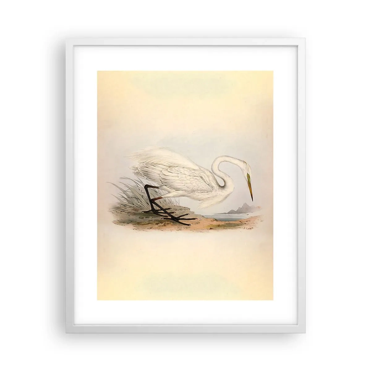 Affiche dans un cadre blanc - Poster - Dame sur les joncs - 40x50 cm