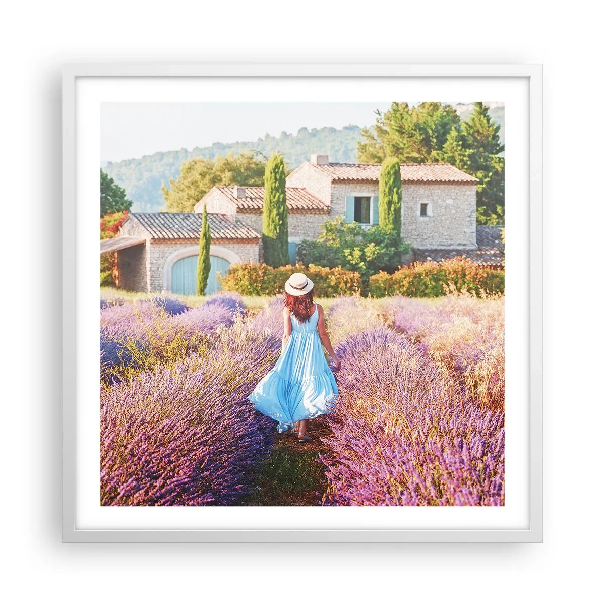 Affiche dans un cadre blanc - Poster - Fille de la lavande - 60x60 cm