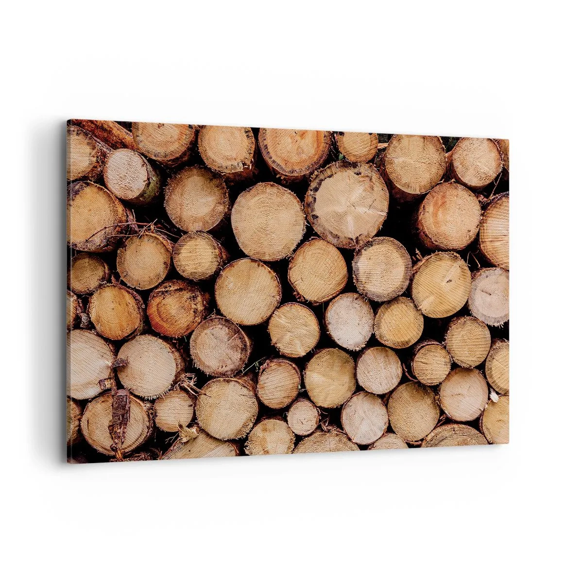 Impression sur toile - Image sur toile - Des tas de troncs d'arbres abattus disposés en harmonie - 100x70cm - Nouveau commencement - Décoration murale moderne pour le salon et la chambre ARTTOR