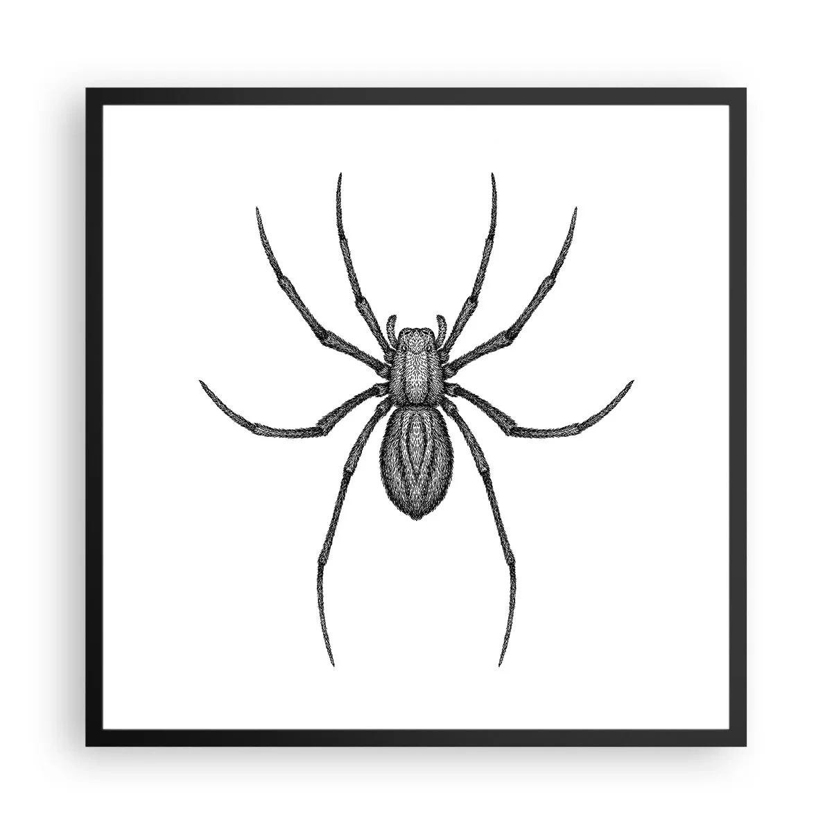 Affiche dans un cadre noir - Poster - Une précision troublante - 60x60 cm