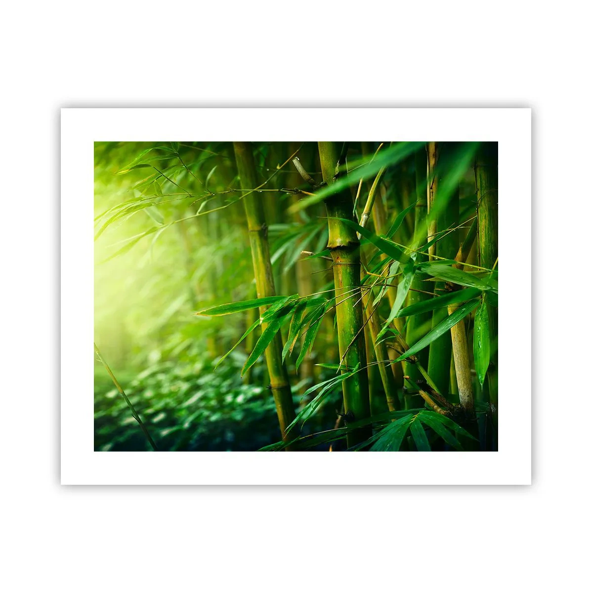 Affiche - Poster - Apprenez à connaître le vert lui-même - 50x40 cm