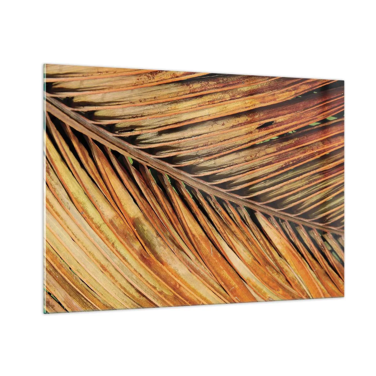 Impression sur verre - Image sur verre - Gros plan de feuilles de palmier sèches et dorées - 100x70cm - Or de noix de coco - Décoration murale moderne pour le salon et la chambre ARTTOR