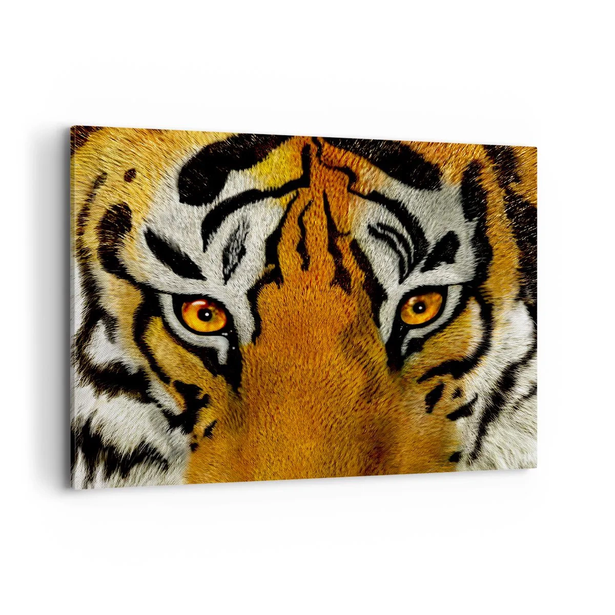 Impression sur toile - Image sur toile - Portrait en gros plan d'un tigre au regard intense - 100x70cm - Terrible et beau - Décoration murale moderne pour le salon et la chambre ARTTOR