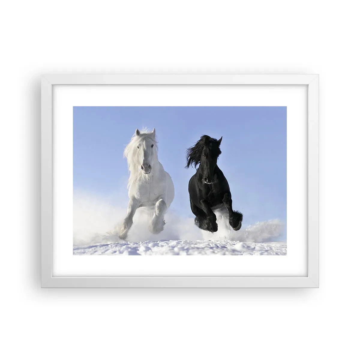 Affiche dans un cadre blanc - Poster - Galop noir et blanc - 40x30 cm