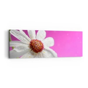 Impression sur toile - Image sur toile - Modeste dans sa beauté - 90x30 cm