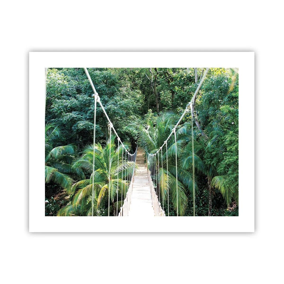Affiche - Poster - Welcome to the jungle! - 50x40 cm