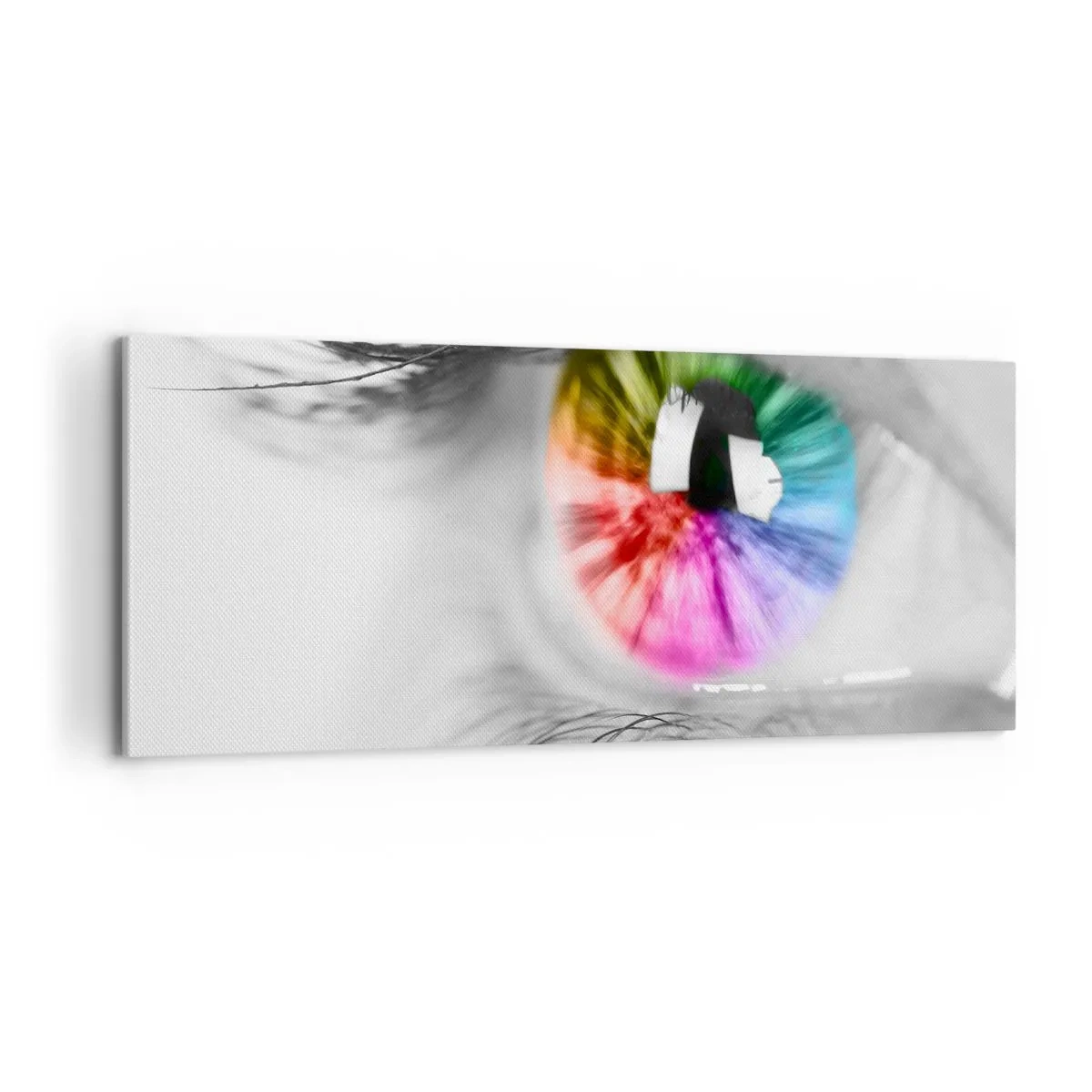 Impression sur toile - Image sur toile - Regarde le monde en couleur - 100x40 cm