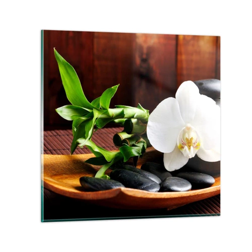 Impression sur verre - Image sur verre - Cédez au contact de la nature - 30x30 cm