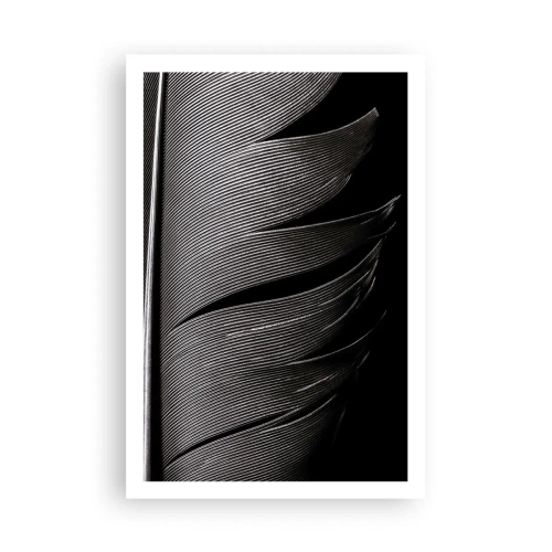 Affiche - Poster - La plume – un design magnifique - 61x91 cm