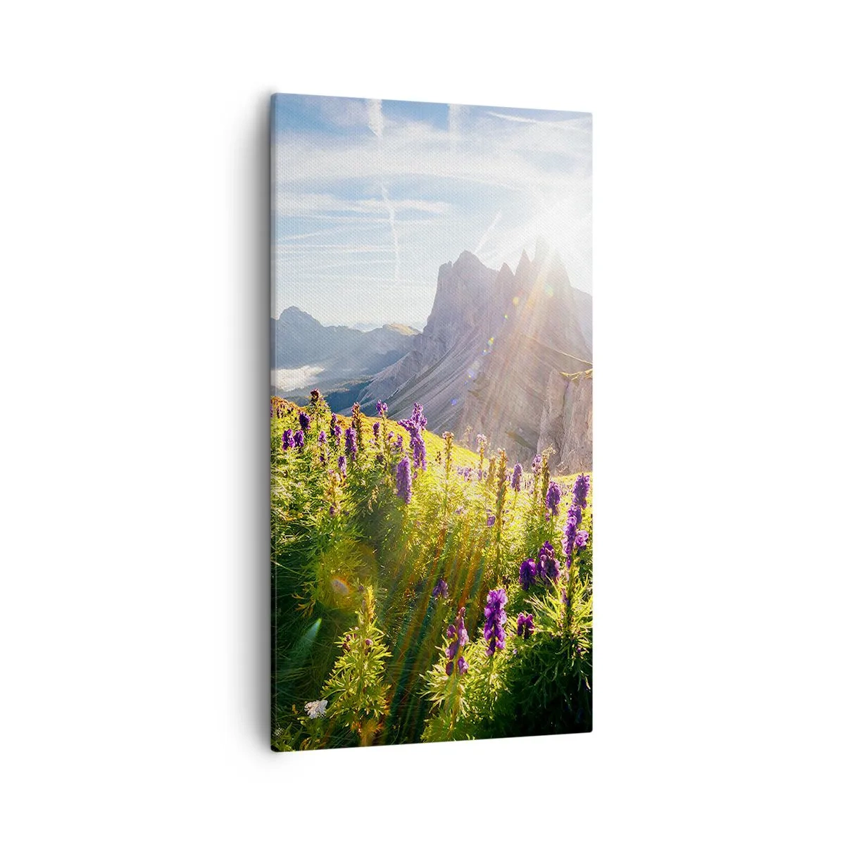 Impression sur toile - Image sur toile - La vie secrète des herbes - 55x100 cm